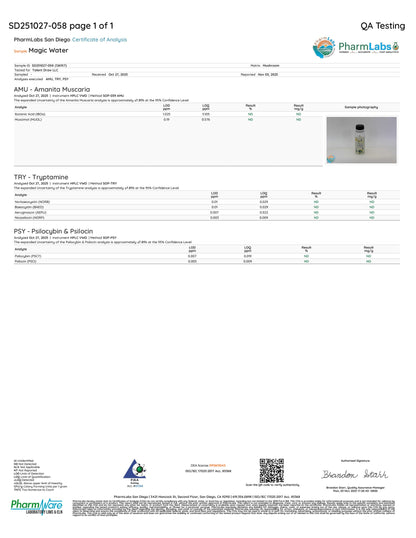 Lab Analysis 