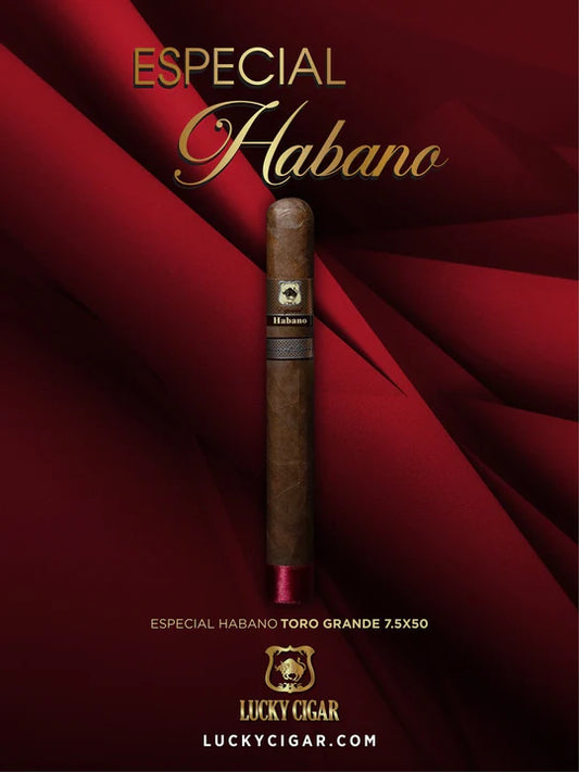 Especial Habano Cigars Toro Grande House Of Lucky