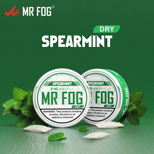 Mr Fog Nicotine Pouches 20CT Spearmint 8MG