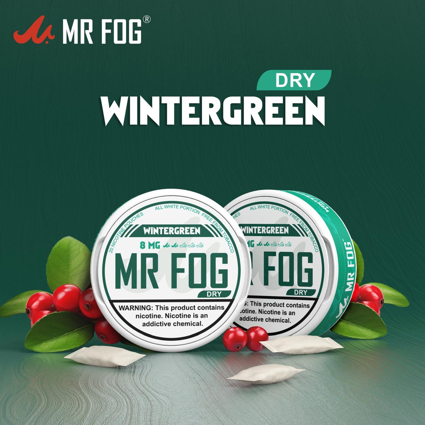 Mr Fog Nicotine Pouches 20CT Wintergreen 8MG