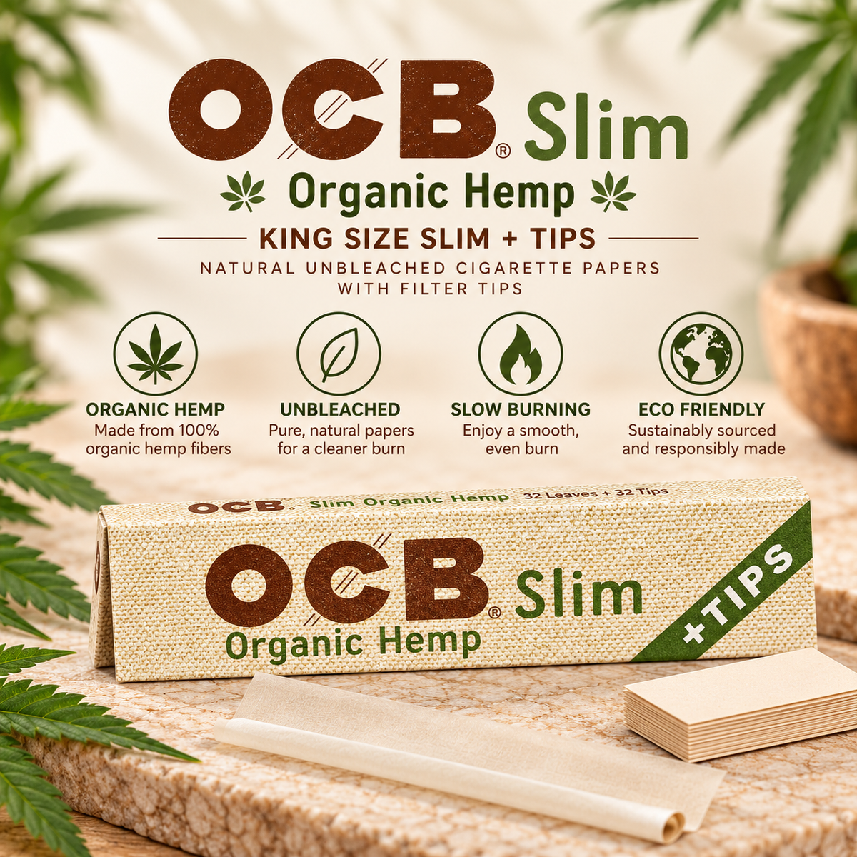 OCB Papers King Organic + Tips