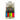 Ignitus Lighter Wonder Lite Bright Color
